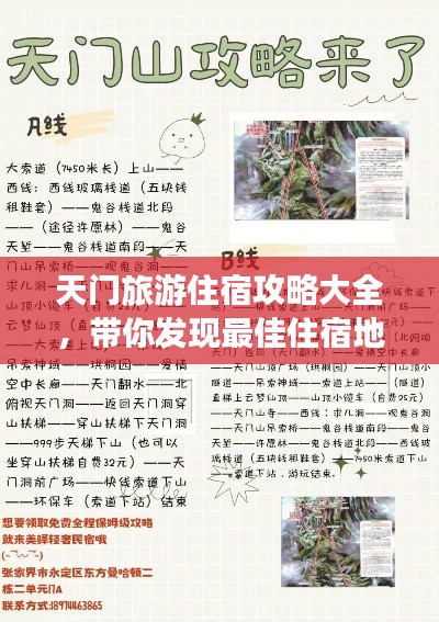 天门旅游住宿攻略大全，带你发现最佳住宿地点！