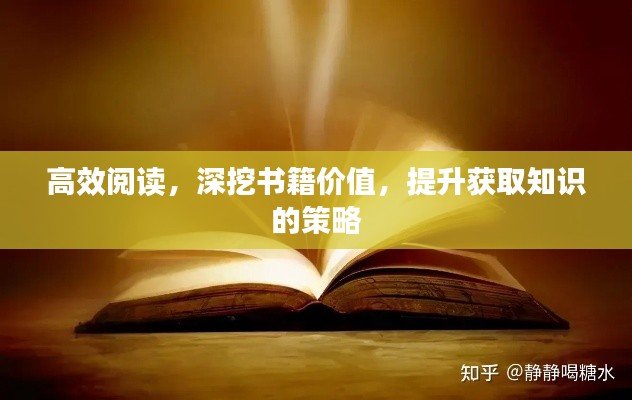 高效阅读，深挖书籍价值，提升获取知识的策略