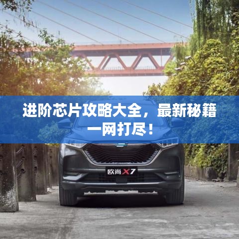 进阶芯片攻略大全，最新秘籍一网打尽！