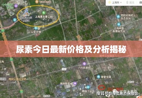 尿素今日最新价格及分析揭秘