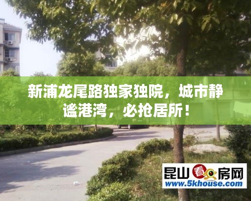 新浦龙尾路独家独院，城市静谧港湾，必抢居所！