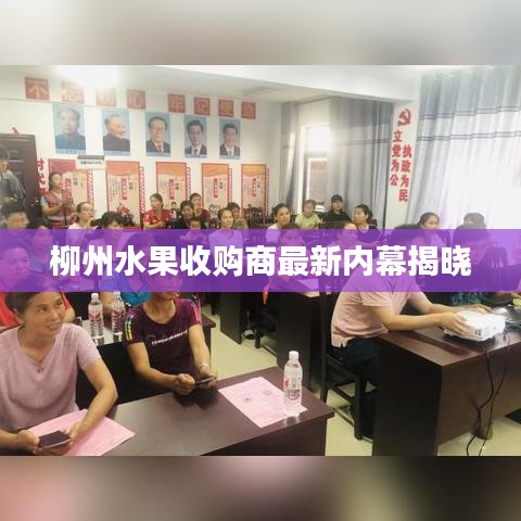 柳州水果收购商最新内幕揭晓