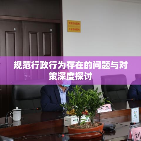 规范行政行为存在的问题与对策深度探讨