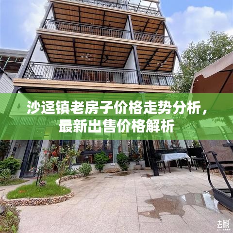 沙迳镇老房子价格走势分析，最新出售价格解析
