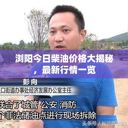 浏阳今日柴油价格大揭秘，最新行情一览