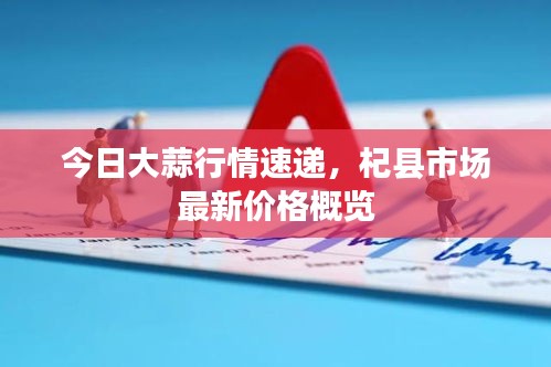 今日大蒜行情速递，杞县市场最新价格概览