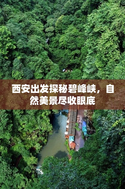 西安出发探秘碧峰峡，自然美景尽收眼底