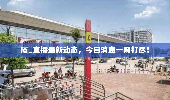 厦滘直播最新动态，今日消息一网打尽！