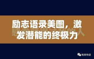资料大全 第26页