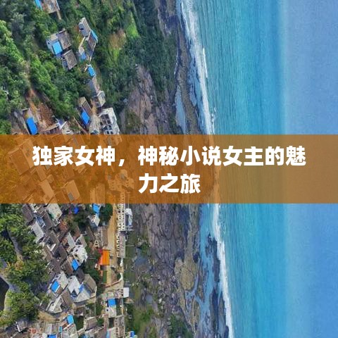 独家女神，神秘小说女主的魅力之旅