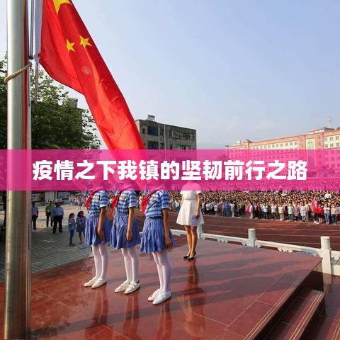 疫情之下我镇的坚韧前行之路