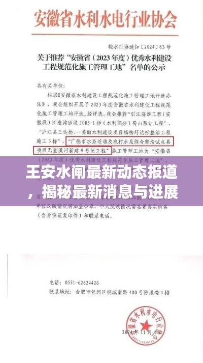 王安水闸最新动态报道，揭秘最新消息与进展