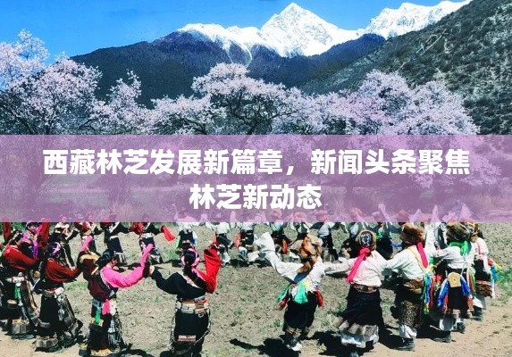 西藏林芝发展新篇章，新闻头条聚焦林芝新动态