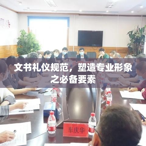 文书礼仪规范，塑造专业形象之必备要素