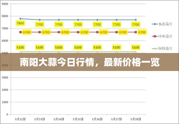 南阳大蒜今日行情，最新价格一览