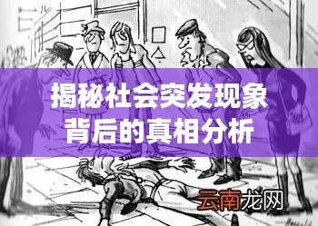 揭秘社会突发现象背后的真相分析