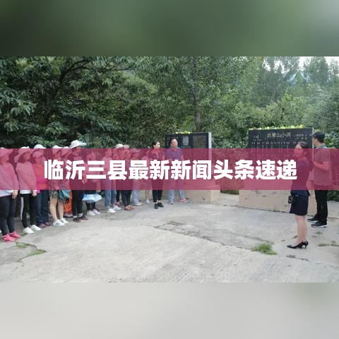 临沂三县最新新闻头条速递