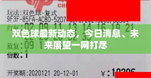 双色球最新动态，今日消息、未来展望一网打尽