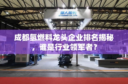 成都氢燃料龙头企业排名揭秘，谁是行业领军者？