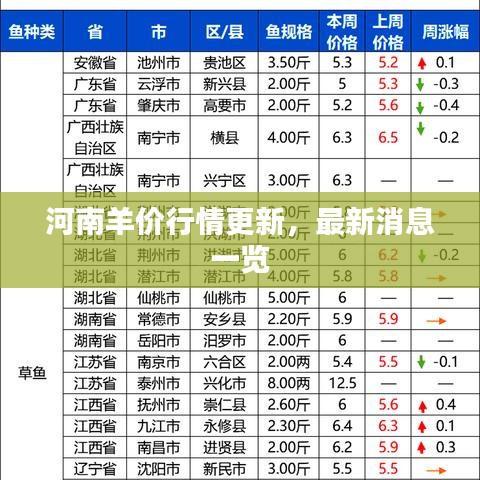 河南羊价行情更新，最新消息一览
