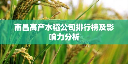 南昌高产水稻公司排行榜及影响力分析