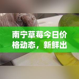 南宁草莓今日价格动态，新鲜出炉，速览市场变化！