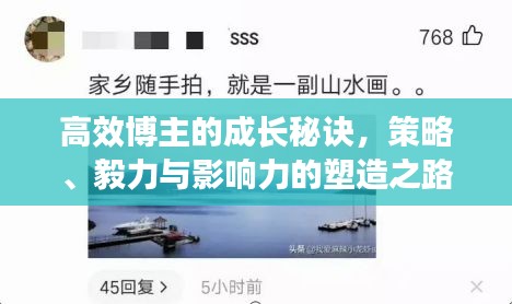 高效博主的成长秘诀，策略、毅力与影响力的塑造之路