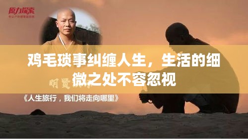 鸡毛琐事纠缠人生，生活的细微之处不容忽视