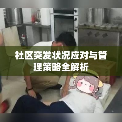社区突发状况应对与管理策略全解析