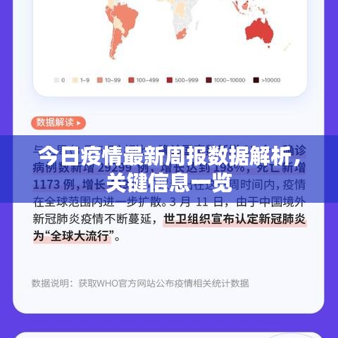 今日疫情最新周报数据解析，关键信息一览