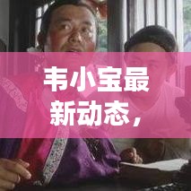 韦小宝最新动态，今日新闻全解析