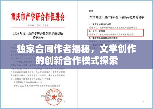 独家合同作者揭秘，文学创作的创新合作模式探索