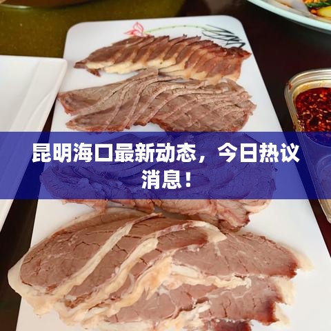 昆明海口最新动态，今日热议消息！