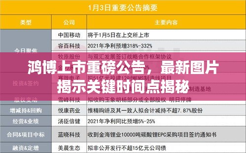 鸿博上市重磅公告，最新图片揭示关键时间点揭秘