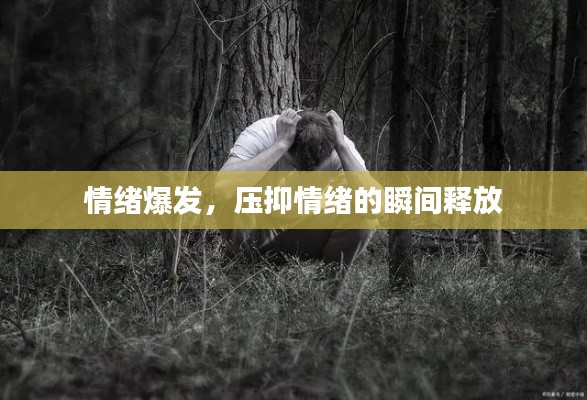 分类 第19页