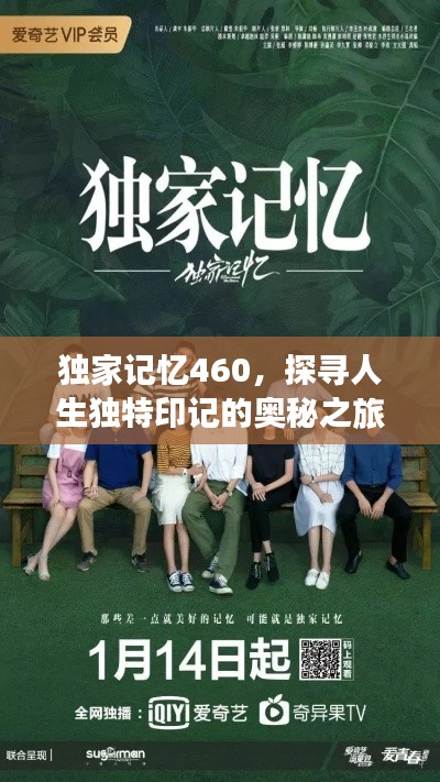 独家记忆460，探寻人生独特印记的奥秘之旅