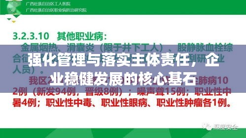 强化管理与落实主体责任，企业稳健发展的核心基石