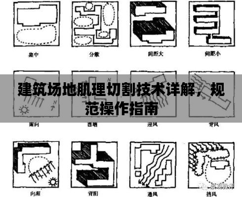 风流潇洒