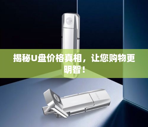 揭秘U盘价格真相，让您购物更明智！