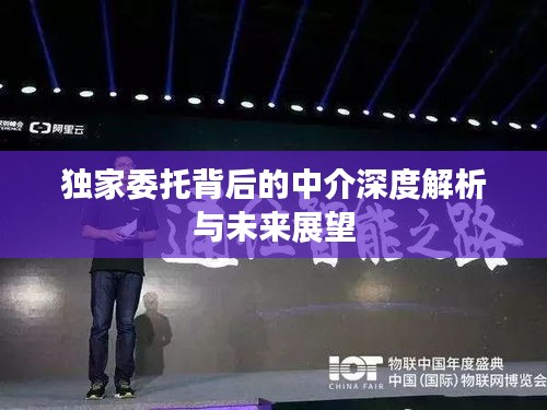 独家委托背后的中介深度解析与未来展望