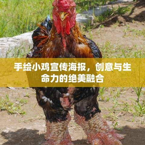 富贵不能淫