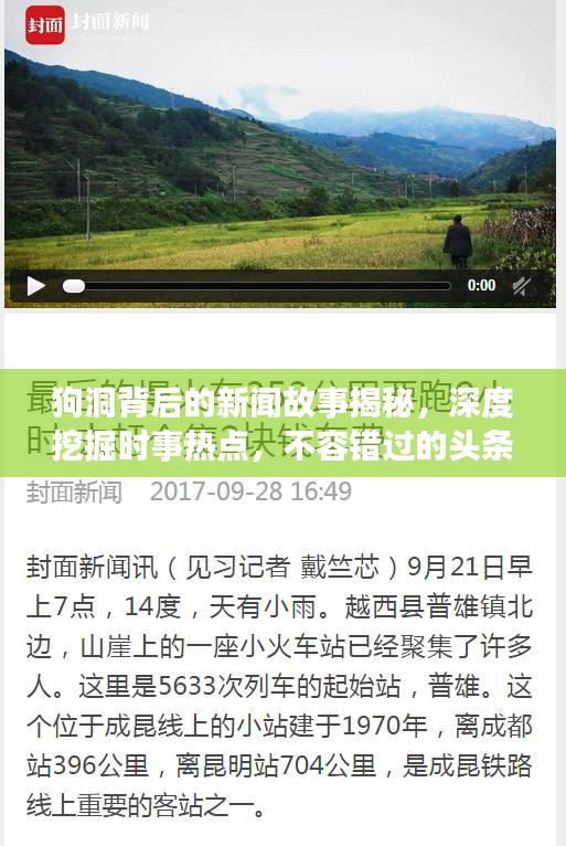 狗洞背后的新闻故事揭秘，深度挖掘时事热点，不容错过的头条资讯