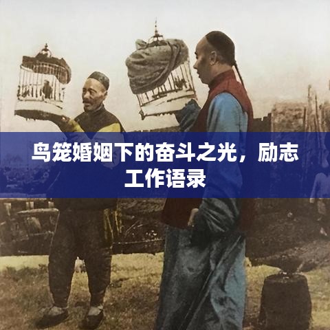 鸟笼婚姻下的奋斗之光，励志工作语录