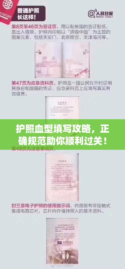 护照血型填写攻略，正确规范助你顺利过关！
