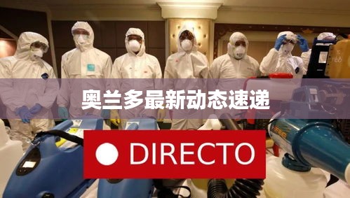 金石为开