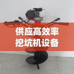 长颈鸟喙