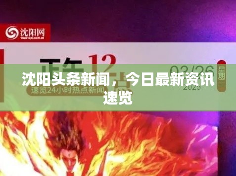 沈阳头条新闻，今日最新资讯速览