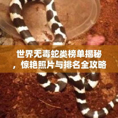 五侯七贵