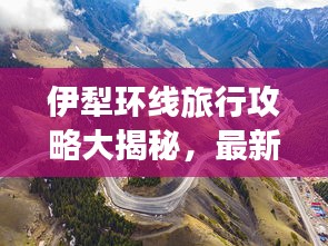 虫言鸟迹
