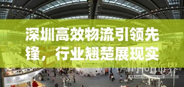 深圳高效物流引领先锋，行业翘楚展现实力